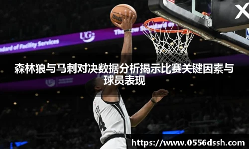 森林狼与马刺对决数据分析揭示比赛关键因素与球员表现